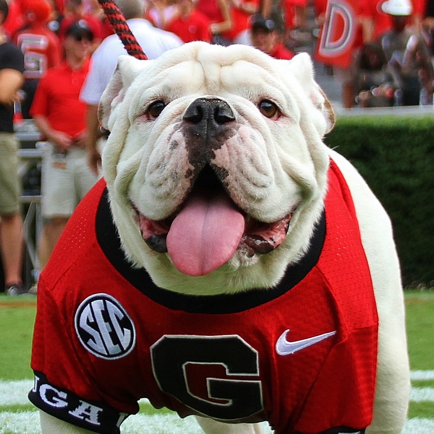 Uga the Dog headshot